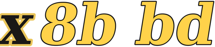 x8b bd logo